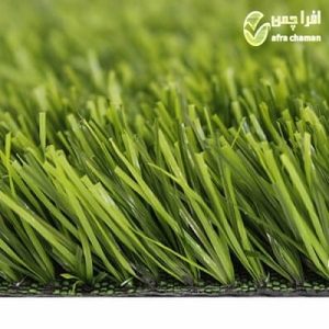 carpet-popyrus-25mm-1.jpg